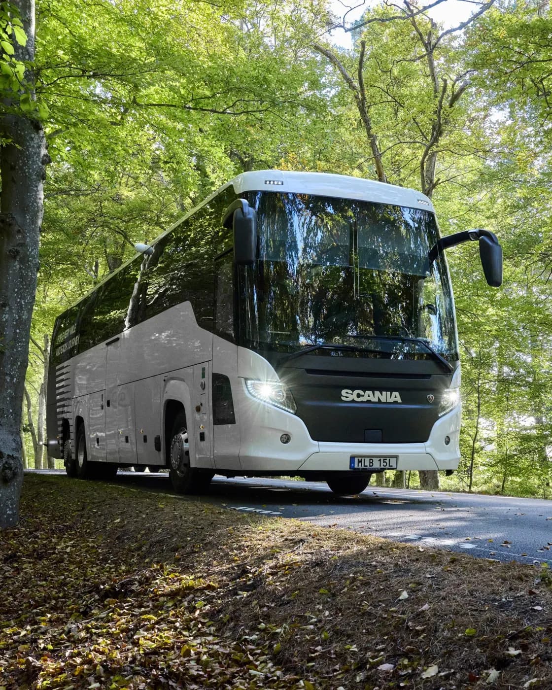Bus / coach